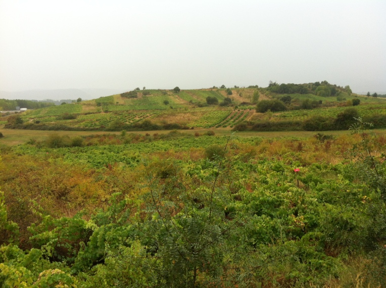 Vista near Camponaraya